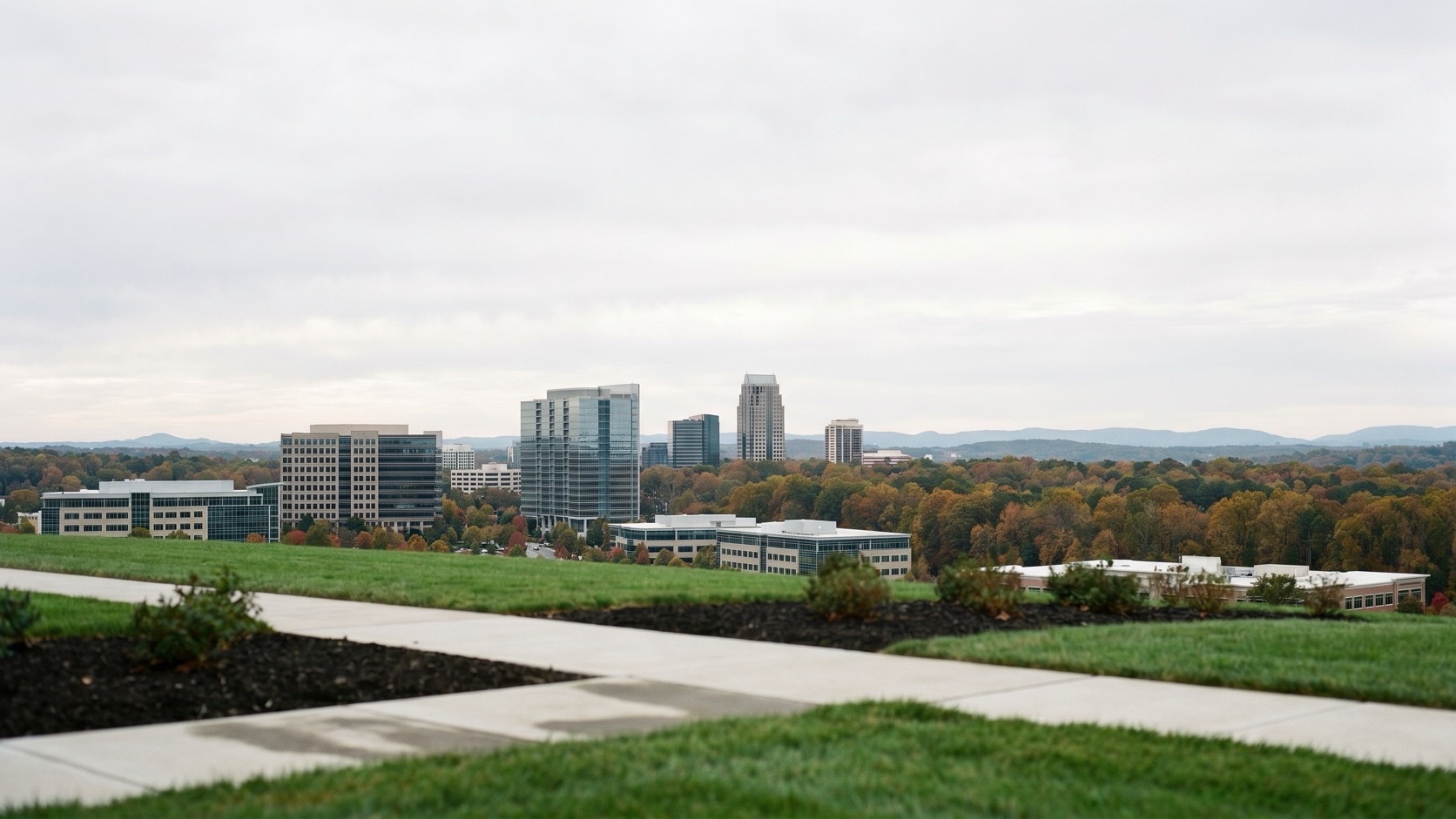Elevated dusk view of Perimeter Center office towers rising above north Atlanta's green hardwood canopy